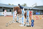 D8F_4219