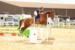 SBM_010102