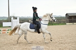 60-65cm Arena Eventing portfolio