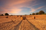 Hay Bales at Mountgorry, Malahide
