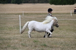 WJ6_6382