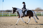 SBM_004384