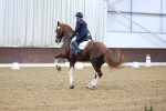 SBM_009482