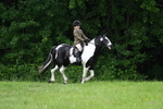WJ7_2009