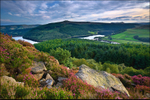 Ladybower Summer 2