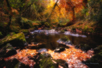 Glengarriff 2