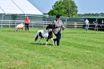 SBM_03447