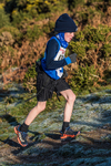 Sale Fell-68