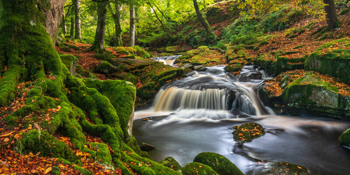 Kildare & Wicklow