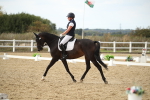 SBM_003397