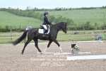 BPP_9526