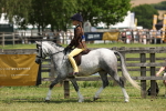 SBM_05340