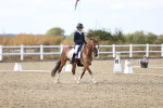 SBM_015976