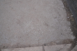 SBM_008290