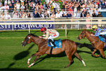 240726-Race 4-Rajaking-0442
