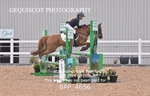 BPP_4656