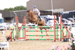 SBM_003597