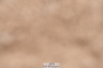 231217A-115423-00870