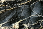 Veins