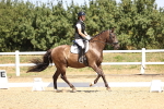 SBM_010601