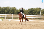 SBM_000971