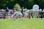 SBM_07847