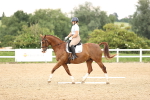 SBM_001915