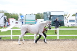 SBM_03932