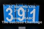 ESP_391