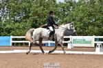 Cls 4A Snr Novice 24 portfolio