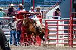 2023 Cheyenne Frontier Days Rodeo portfolio