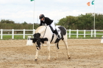 SBM_003544