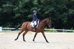 Class 4: Novice 6 2024 portfolio