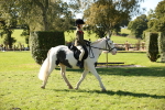 SBM_38964