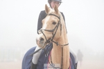 Cls 40 Academy Individual Horse 90cm portfolio