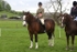 MBM_3597