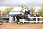 SBM_00576