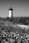 harbor lighthouse and shells b&w