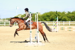 SBM_007180