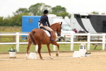 SBM_013258