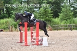 BPP_3377