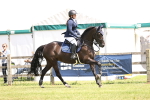 SBM_04095
