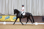 SBM_001881