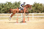 SBM_000733
