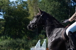 240811A-165826-06492