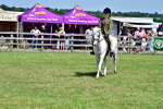 SBM_07804