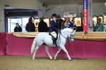 SBM_18923