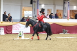 SBM_09931