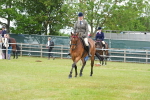 SBM_15829