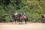 WJ6_7836